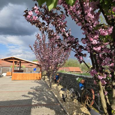 20250513 20250424 162435 2