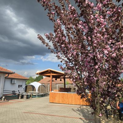 20250513 20250424 162450 2